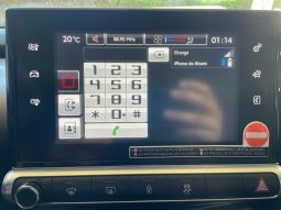 Citroen c4 Cactus lleno
