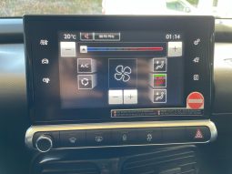 Citroen c4 Cactus lleno
