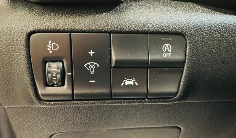 Kia Sportage lleno